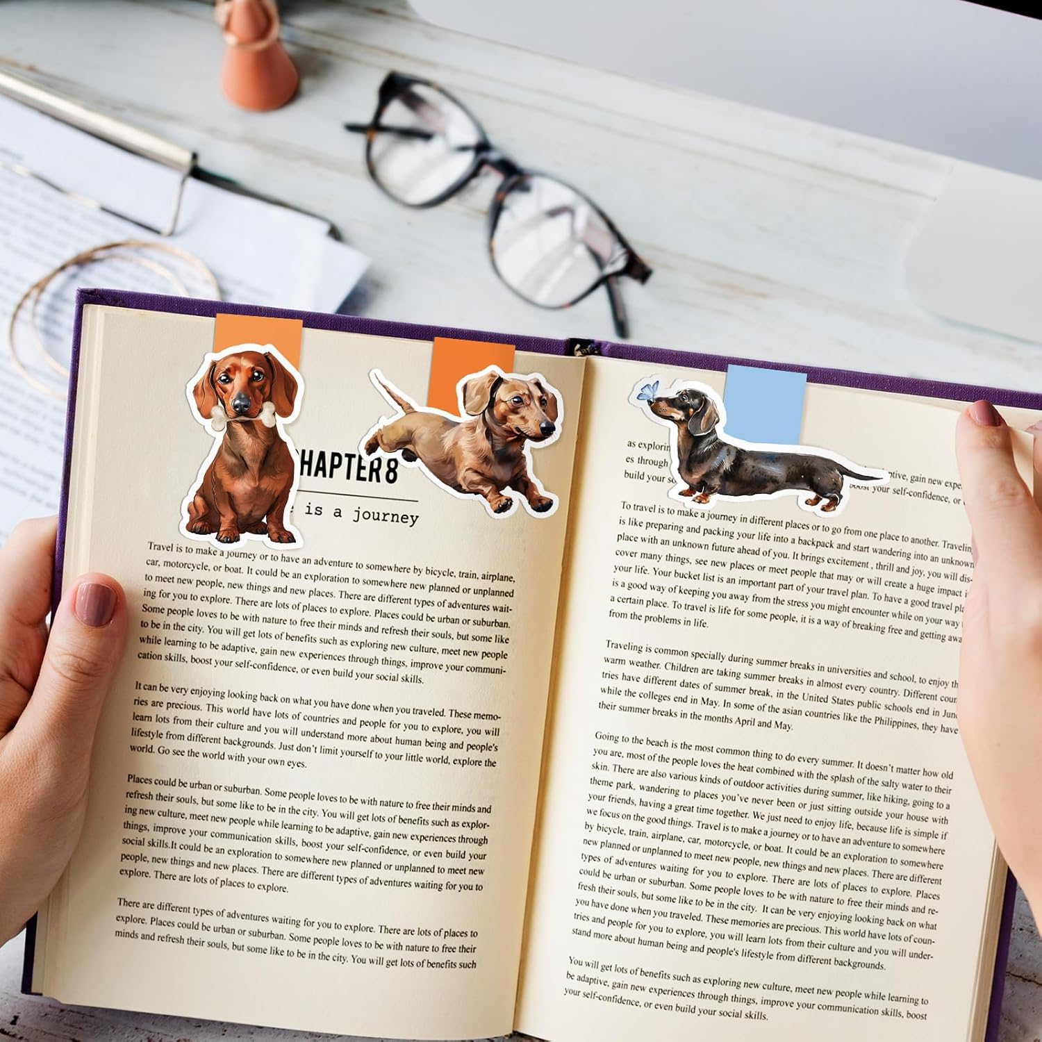 6/12 Darcy Dog Themed Waterpro - مراجعة Bookmark Magnetic Clip وسعره