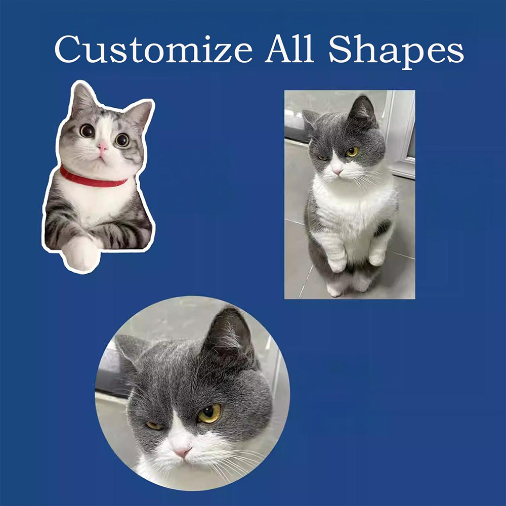 Custom Dog Animal Stickers Fun - مراجعة Memo Pad Sticky وسعره